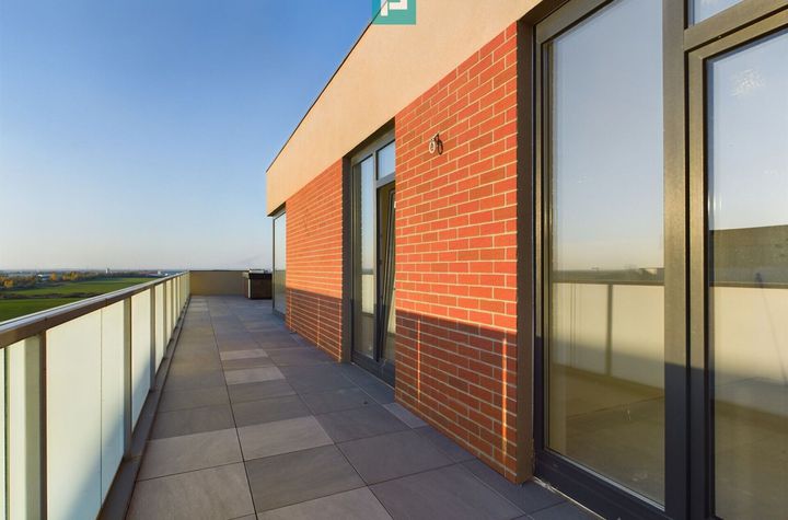 Penthouse 3 camere, terasă 103 mp, Torontalului anunturi imobiliare Timis