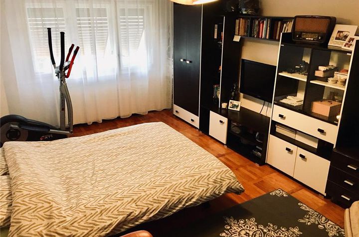 Apartament 2 camere de vanzare LIPOVEI - Timis anunturi imobiliare Timis
