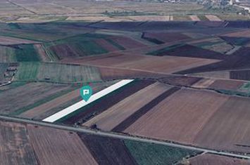 Teren intravilan la stradă principală Remetea Mare anunturi imobiliare Timis