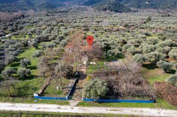 Complex de 3 locuințe pe teren 2500 mp, Skala Potamias anunturi imobiliare Grecia