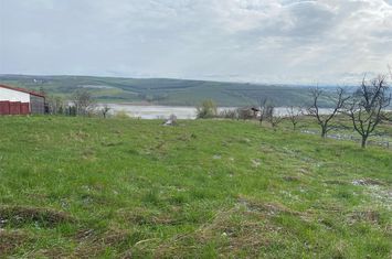 Teren Intravilan de vanzare FALTICENI - Suceava anunturi imobiliare Suceava