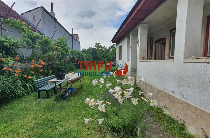 Casă - 3 camere de vanzare CENTRAL - Alba anunturi imobiliare Alba