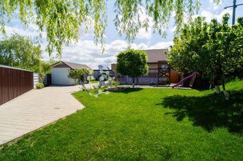 Casa individuala, 1,5 km de Aleea Tudor Neculai, 822 mp teren anunturi imobiliare Iasi