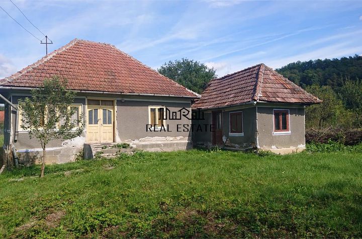 Casă - 2 camere de vanzare BAIA DE CRIS - Hunedoara anunturi imobiliare Hunedoara