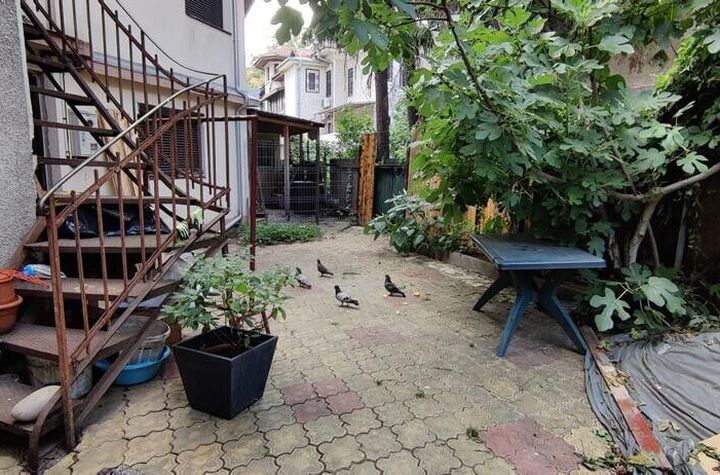 Inchiriere casa P+1 pet friendly curte comuna Cotroceni Medicina anunturi imobiliare Bucuresti