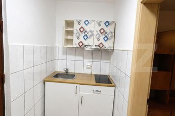 Garsonieră de vanzare BLASCOVICI - Timis anunturi imobiliare Timis
