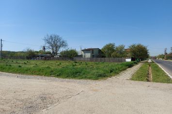 Teren 1.510mp, dubla deschidere, Ciofliceni - Snagov! anunturi imobiliare Bucuresti