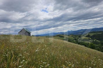 Teren de vanzare CAMPENI - Alba anunturi imobiliare Alba