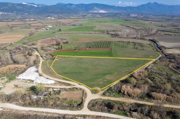 Teren construibil 17.250 mp în Χρυσούπολη Νέστου anunturi imobiliare Grecia