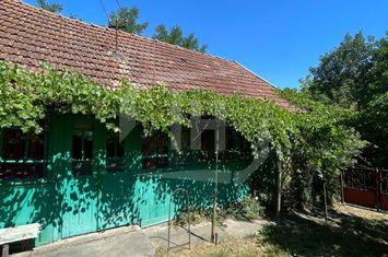 Teren de vanzare COJOCNA - Cluj anunturi imobiliare Cluj