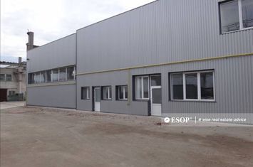 Spațiu industrial de inchiriat BRAGADIRU - Bucuresti anunturi imobiliare Bucuresti