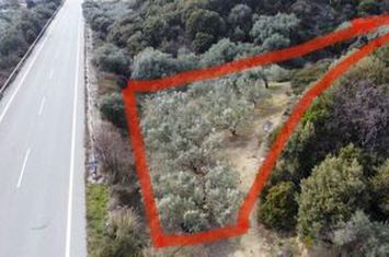 Teren 1128.26 mp, 80 metri de plajă, Mirtofito anunturi imobiliare Grecia