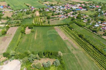 Teren 10,000mp Negresti / Strada Noua anunturi imobiliare Vaslui
