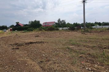 Izvorani Snagov, Str Maresal Averescu zona vile noi cu toate utilitatile anunturi imobiliare Bucuresti
