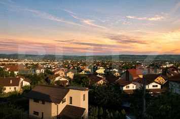 Vilă - 4 camere de vanzare CETATE - Alba anunturi imobiliare Alba