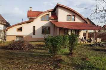 Casă - 5 camere de vanzare LAPUSEL - Maramures anunturi imobiliare Maramures