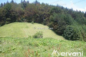 Teren de vanzare AZUGA - Prahova anunturi imobiliare Prahova