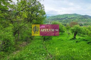 Teren de vanzare in Valea Doftanei - Sat Tesila anunturi imobiliare Prahova