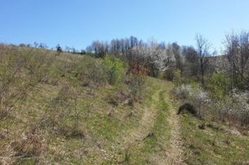 Teren cu panoramă fabuloasă, 10.059 mp, Roșia. 19.000 EUR. Comision 0 anunturi imobiliare Bihor