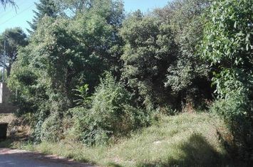 Teren construibil 749 mp, Korifes Kavala anunturi imobiliare Grecia