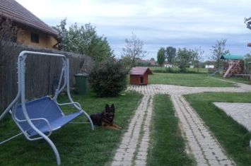 Casă - 5 camere de vanzare SALARD - Bihor anunturi imobiliare Bihor