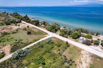 Parcelă 406,56 mp în Skala Sotiros, la 60 m de mare anunturi imobiliare Grecia