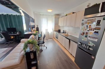 Apartament 2 camere, 67 mp, cartierul Andrei Muresanu, complet renovat anunturi imobiliare Cluj