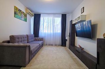 Apartament 3 camere Renovat Drumul Taberei Parc Metrou Raul Doamnei anunturi imobiliare Bucuresti