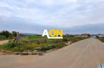 Oportunitate de investitie, posibilitate parcelare, 12.000 MP, Sebes anunturi imobiliare Alba