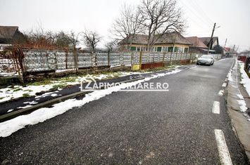 Casa 3 camere,1 baie,100 mp, 2.700 mp teren,0% comision anunturi imobiliare Mures