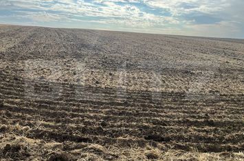 Teren de vanzare GHERCESTI - Dolj anunturi imobiliare Dolj