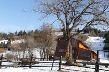 Teren de vanzare NOUA - Brasov anunturi imobiliare Brasov