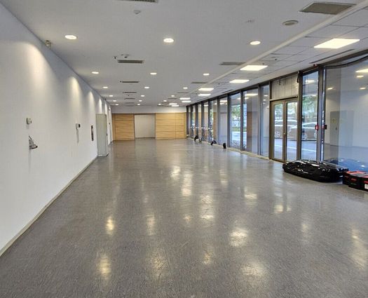 Spațiu comercial Pantelimon, 948 mp