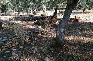 Teren agricol 4.138 mp în Skala Kallirachis (Vodnik) anunturi imobiliare Grecia