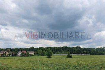 Izvorani Snagov COR parcelabil , deschidere la asfalt anunturi imobiliare Bucuresti