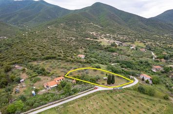 Teren construibil 2.993 mp în Ano Lefki anunturi imobiliare Grecia