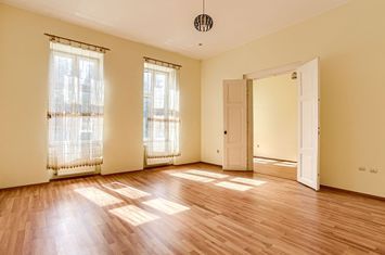Apartament ideal pentru afacerea ta, cu vedere la Bulevard, Comision 0 anunturi imobiliare Arad