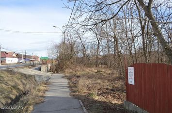 Valea Ursului - DN 7, Teren Stradal 2744 mp anunturi imobiliare Arges