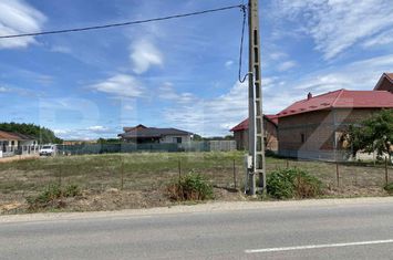 Teren de vanzare BOTIZ - Satu Mare anunturi imobiliare Satu Mare