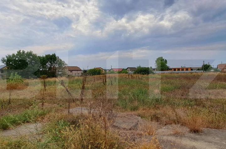 Teren de vanzare CERNELE - Dolj anunturi imobiliare Dolj