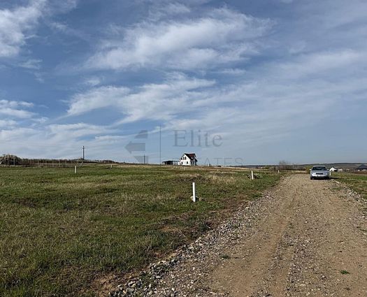 Teren Intravilan Paleu, 700 mp