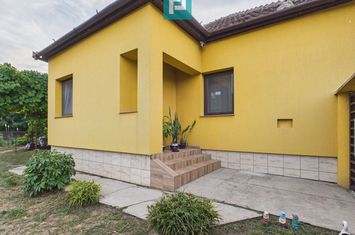 Casă cu 4 camere și teren de 5538 mp în Macea anunturi imobiliare Arad