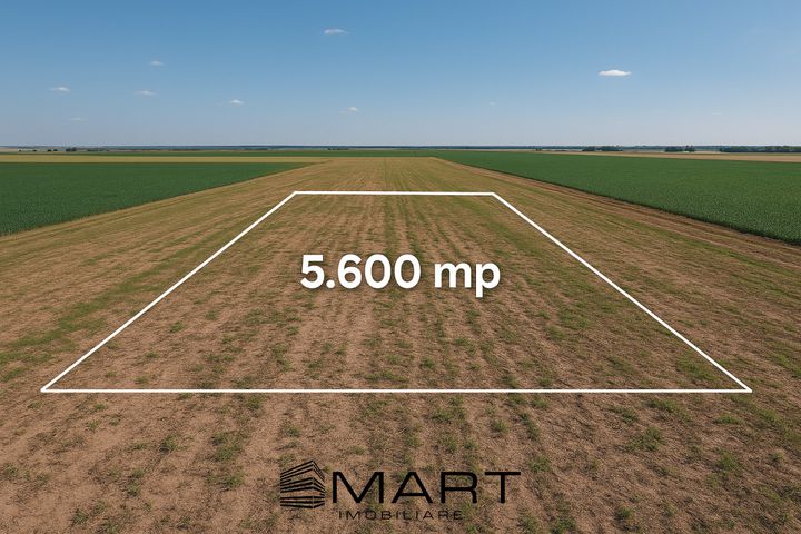 Teren de vanzare DAIA ROMANA - Alba anunturi imobiliare Alba