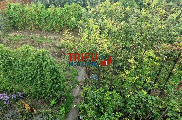 Teren Intravilan de vanzare CENTRAL - Alba anunturi imobiliare Alba