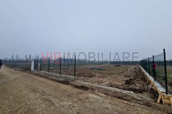 Izvorani Teren intravilan construibil imediat 500 mp – utilități pe teren anunturi imobiliare Bucuresti