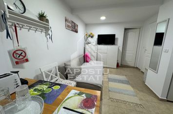 Apartament cu o camera, centrala proprie, AC, zona Lipovei anunturi imobiliare Timis
