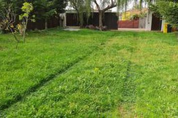 Teren de vanzare BRANESTI - Bucuresti anunturi imobiliare Bucuresti