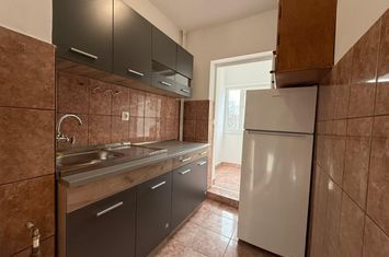 Chirie, apartament, 1 camera, 30 mp, Traian Lalescu Oradea. 250 E/lună anunturi imobiliare Bihor