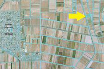 Teren agricol 6.706 mp în Nea Karya, Nestos anunturi imobiliare Grecia