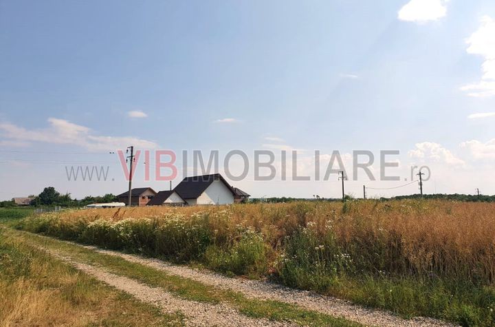 Izvorani, lacul Snagov, in apropiere de padure 2000mp anunturi imobiliare Bucuresti